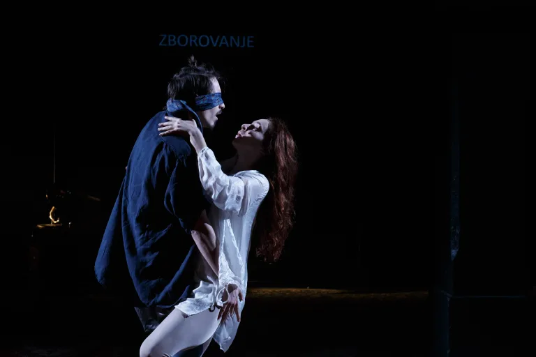 Zborovanje ptic, 4 fotografije, Fotografija